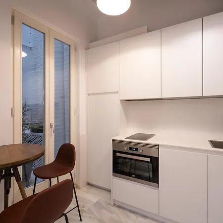 Apartment Botanic - 2dorm 2banos Centro Catedral Albaicin *